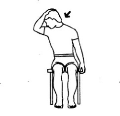 StretchLevatorScapulaeArmDown-152